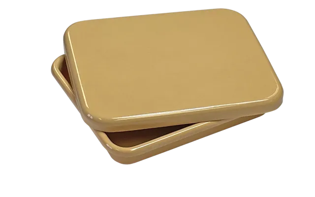 Shirley K's plastic storage tray with lid, T135L