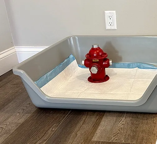 Shirley K's dog litter box with a pee pad and a fire hydrant potty target