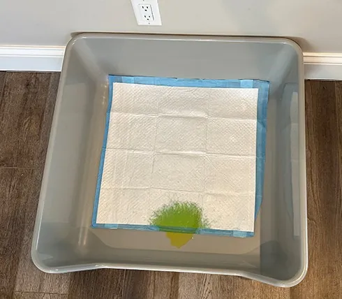 Shirley K's dog litter box holding a pee pad inside its walls