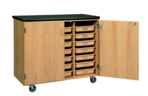 Shirley K's plastic organizational storage trays